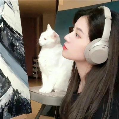 谜圈