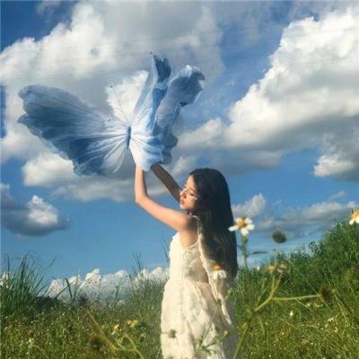 泪洒女人花